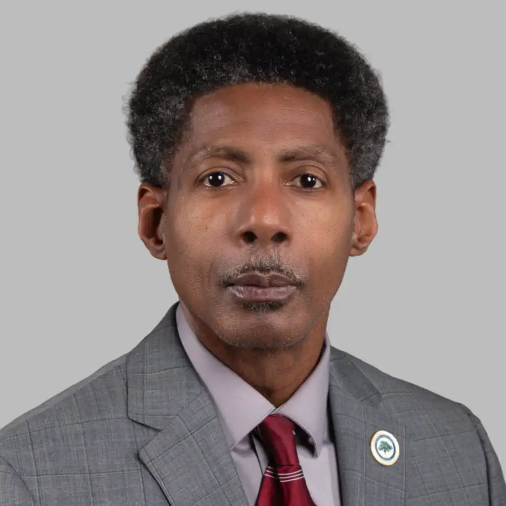 The Honorable Reggie Burgess, Mayor, City of North Charleston