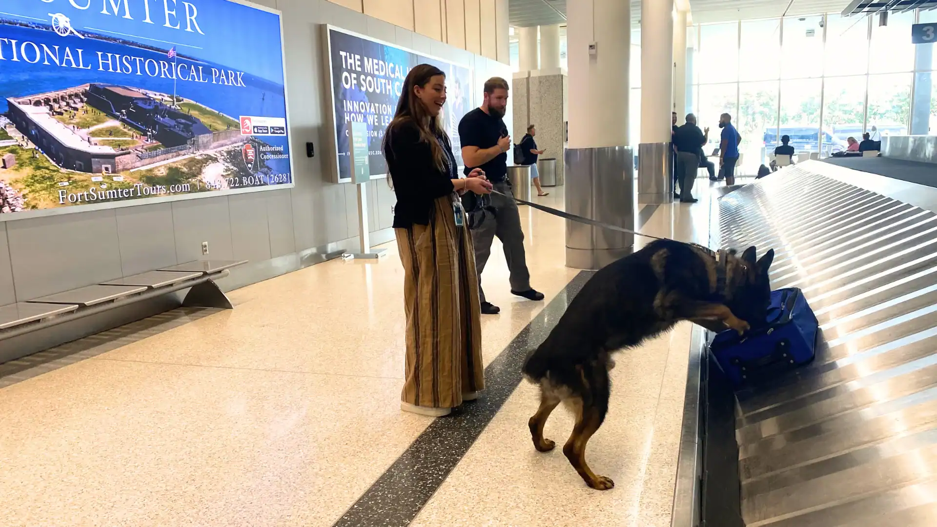 Intern holding a lease to security dog while sniffing a piece of luggage