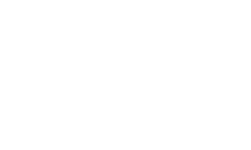 CHS logo