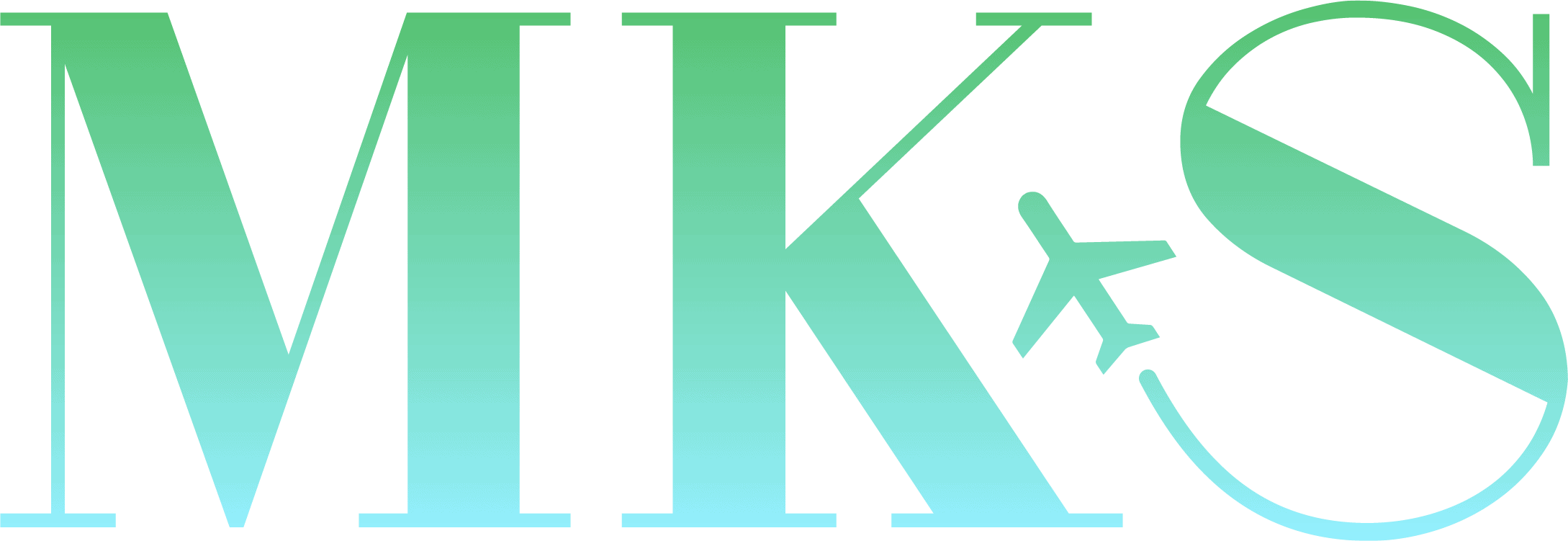 Berkeley County Airport (MKS) Logo